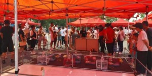 <?php the_title(); ?>