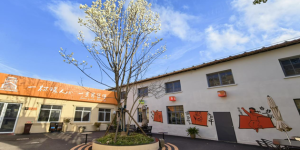 <?php the_title(); ?>