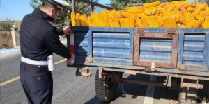 <?php the_title(); ?>