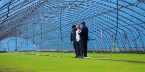 道外公安：普法入脑更入心  守护“耕地中的大熊猫”